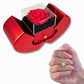 Gift Box Red Heart Rose & Necklace Love Knot.