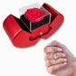 Gift Necklace Forever Love & Box Red Heart Rose.